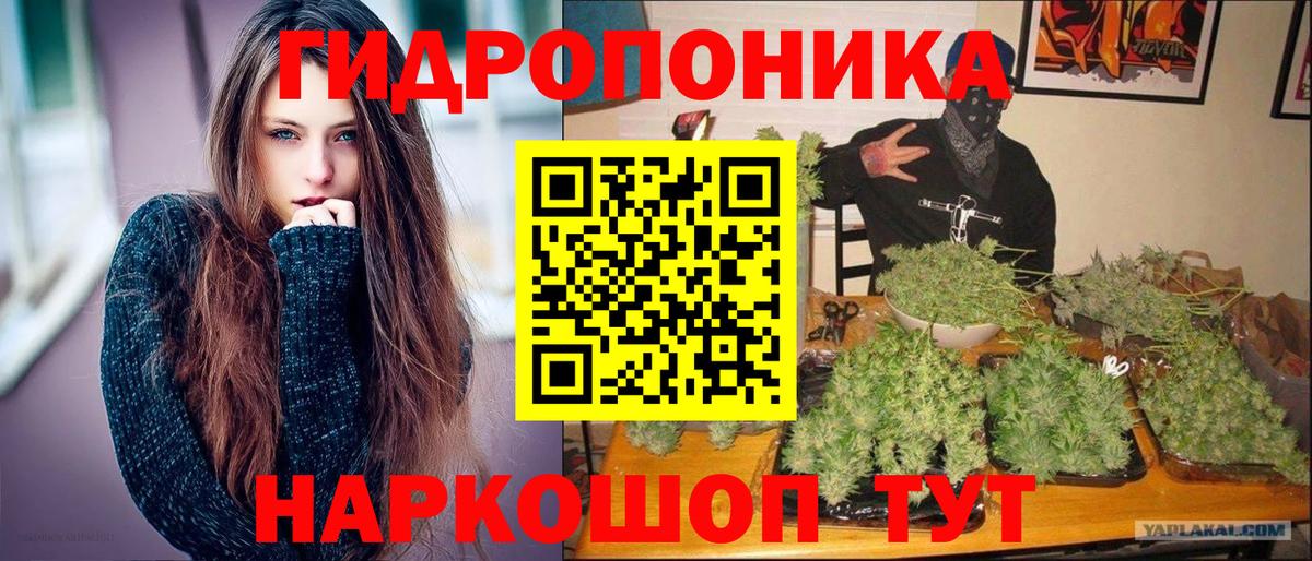 Каннабис сатива  Бошки марихуана LSD WEED  Алейск  Вход с VPN 